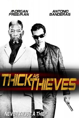 Vagių Pasaulis / Thick as Thieves (2009)