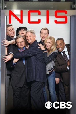 Specialioji jūrų policijos tarnyba (10 Sezonas) / NCIS: Naval Criminal Investigative Service (Season 10) (2012)